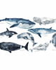 naklejki ścienne do pokoju dziecka Oceanic World - Ocean, Walenie, Naklejki Ścienne 2