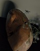 wazony Drewniany wazon na kwiaty dekoracja Japandi WoodWasp 7