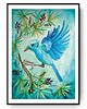 grafiki i ilustracje Jungle bird ilustracja drukowana 3