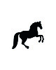 broszki FeltHorse 1