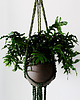 kwietniki Kwietnik makrama FERN FLOWER 2 1