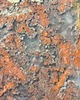 wisiory Wisiorek Rhoderan 2