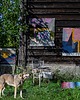 Ozdoby na ścianę Ręcznie tkany kilim - wełniana makatka  - CZARNA JACHTA - Mazurskie Opowieści 2