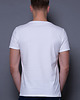 t-shirt damskie T-shirt KAMELEON 3