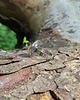 pierścionki - różne Pożegnanie lata - pierścionek regulowany 2