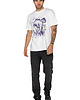t-shirty męskie T-shirt męski UNDERWORLD Mushrooms 1