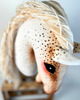 zabawki - inne Ujeżdżeniowy Hobby Horse - Biało - brązowy - tarant A3 5