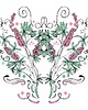 grafiki i ilustracje Kwiaty naszych łąk... łubin 1