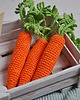 zabawki - inne Warzywa szydełkowe - marchewka, Montessori 2