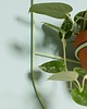 kwietniki kwietnik metalowy  MIĘTA handmade 2