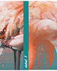 obrazy Obraz na płótnie FLAMINGI 120x80cm 3
