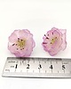 kolczyki z masy plastycznej Kolczyki sakura delikatne kwiaty półprzezroczyste handmade stal 3