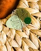 broszki Monstera 1