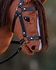 zabawki - inne Hobby Horse + ogłowie + wodze 3