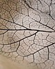patery i talerze Ceramiczny talerz 2