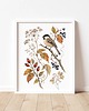 plakaty PLAKAT sikorka, vintage ilustracja botaniczna, jesienna dekoracja 6