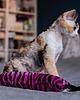 Zabawki dla zwierząt Zabawka dla kota kopacz kick & hug ze sznureczkami i kocimiętką ZEBRA RÓŻOWA 6