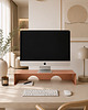 organizery Podstawka pod monitor Postura 60 cm 3