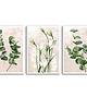 obrazy Tryptyk botaniczny na płótnie 1