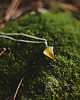 wisiory WAVES amber / silver necklace 5