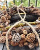 wianki Wianek jesienny leśny NATURALNY na drzwi 2
