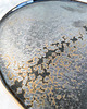 patery i talerze Talerz GOLD DIGGER 5