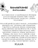 bransoletki - inne Bransoletka z bryłą Kryształu górskiego - Srebrne 1