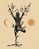 grafiki i ilustracje Plakat Joga Vrikshasana 1