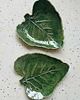 patery i talerze Liść łopianu #2 - ceramiczny talerzyk/patera 1