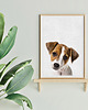 obrazy i plakaty do pokoju dziecięcego Plakat Pies - Jack Russell Terrier 5