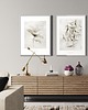grafiki i ilustracje Klon Acer planetoids L. -zestaw -  { 50x70 cm } 1