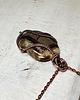 wisiory Septarian - smoczy kamień  m239 3