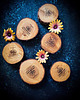 podkładki do kuchni Podkładki z Czeremchy Drewniane podkładki pod kubek Wood Coasters 6 sztuk 6