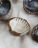 pojemniki na biżuterię Miseczka COQUILLAGE 1