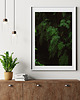 plakaty Paprocie, plakat, fotografia, plik cyfrowy 1