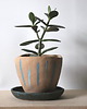 doniczki Doniczka ceramiczna 1