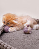 Zabawki dla zwierząt Zestaw szydełkowych zabawek dla kota FISH 1