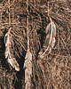 łapacze snów Strzała Criollo - Catch Your Dreams - ArtStyl Ceramika 2