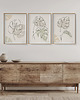 plakaty Zestaw 3 stylowych plakatów w stylu Boho, rośliny, monstera, line art. 1