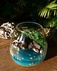 dodatki - różne Terrarium natura zamknięta w szkle 2