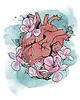 bluza z kapturem damska Bluza damska klasyczna z kapturem - EL CORAZON 2