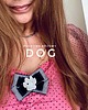 broszki Kolekcja DOG Brosza z łapką wysadzaną kryształkami New 9