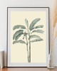 plakaty PLAKAT BOTANICZNY  ROŚLINA ilustracja 1