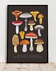 plakaty Plakat "Grzyby" 30x40 cm na brązowym tle 1