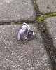 pierścionki - różne Szarość radość - pierścionek regulowany 1