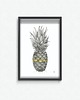 plakaty Plakat  Ananas comosus 1