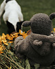 czapki dziecięce Czapeczka Lamb grey 5