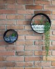 doniczki Circle planter "M"- dekoracja ścienna 4