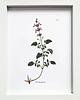 plakaty Plakat obrazek w ramce A5 ZIELNIK, orszelina 3