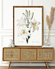 plakaty Plakat White flowers 1